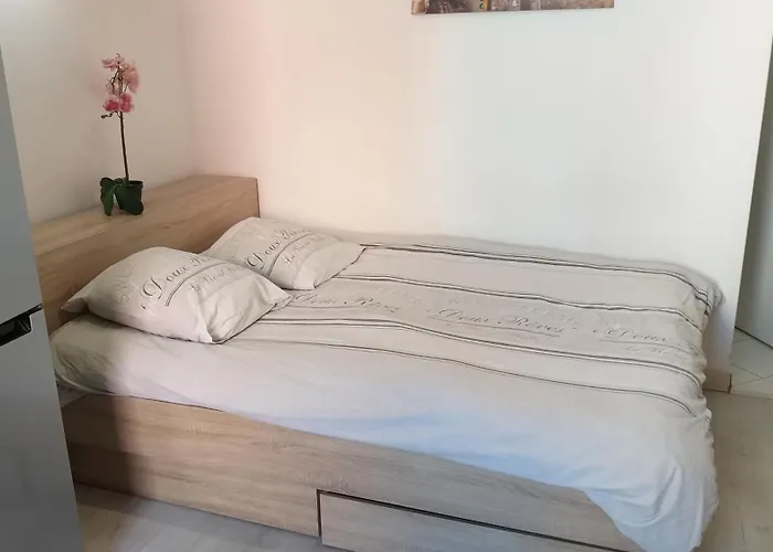 Magnifique Studio Au Coeur Historique De Frejus